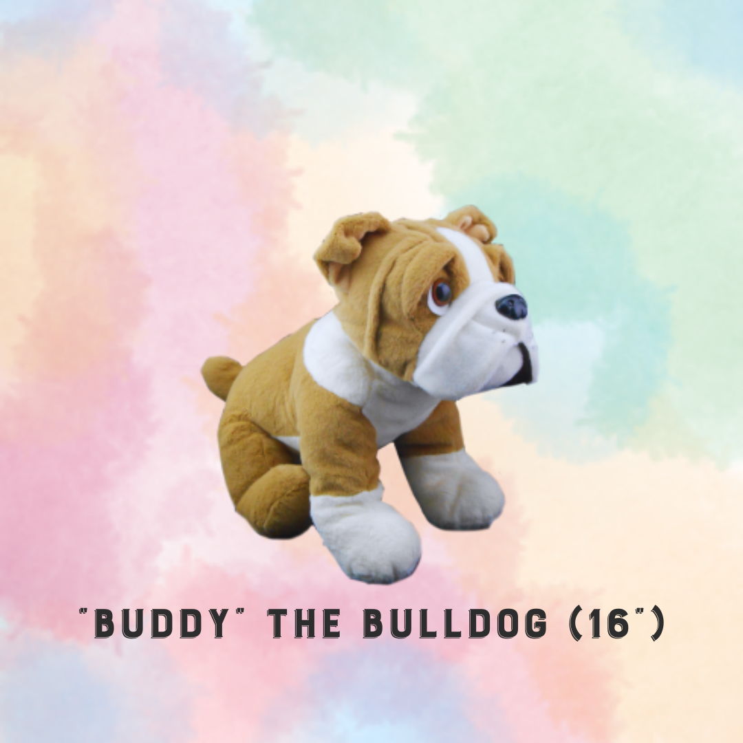 PARTY IN A BOX - STUFFIES (Build-a-Friend)