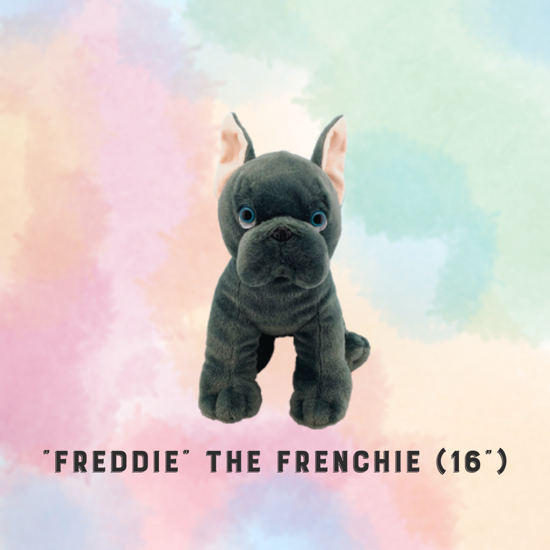 PARTY IN A BOX - STUFFIES (Build-a-Friend)