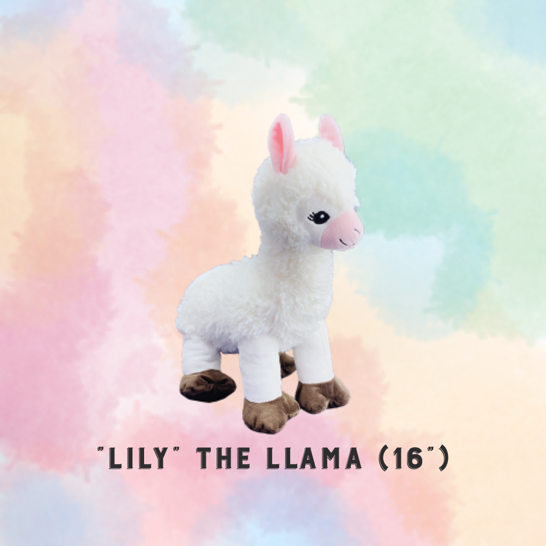 PARTY IN A BOX - STUFFIES (Build-a-Friend)