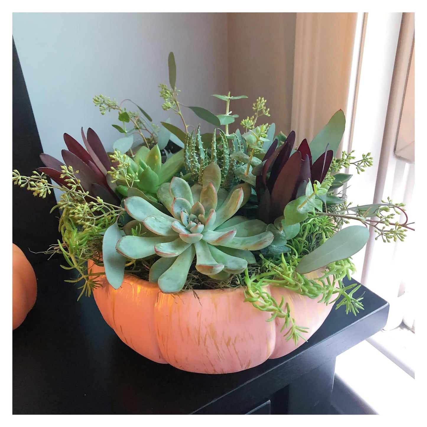 10/17/25 PUMPKINS & SUCCULANTS 6:30pm
