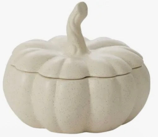 10/17/25 PUMPKINS & SUCCULANTS 6:30pm