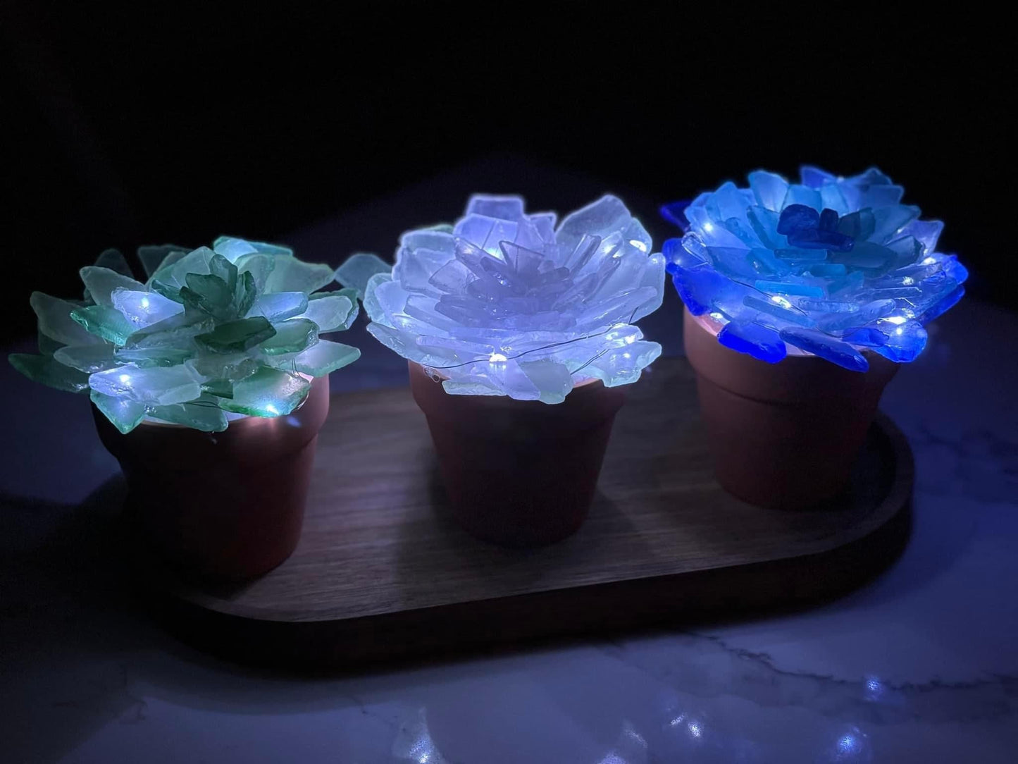 SEA GLASS SUCCULENTS