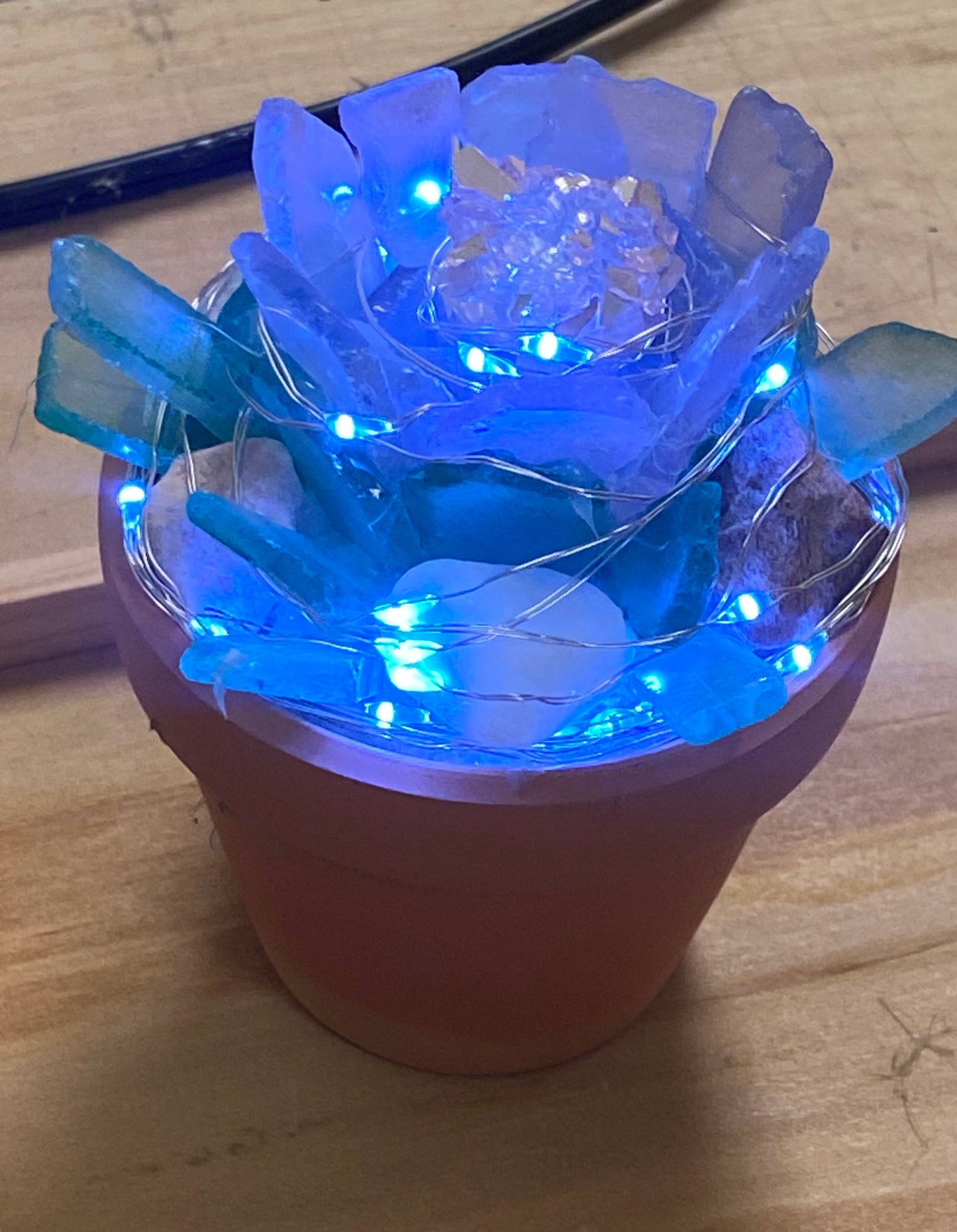 SEA GLASS SUCCULENTS
