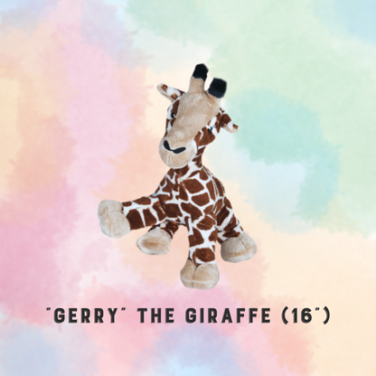 PARTY IN A BOX - STUFFIES (Build-a-Friend)