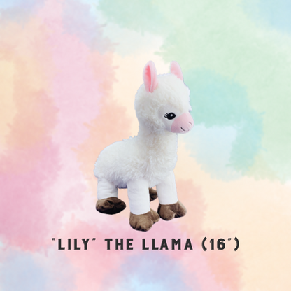 PARTY IN A BOX - STUFFIES (Build-a-Friend)