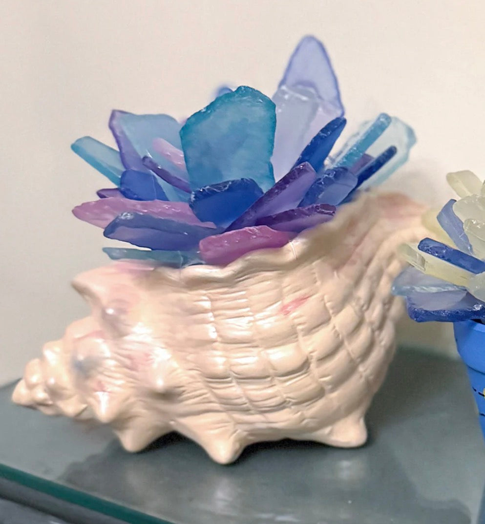 07/09/26 THURSDAY-Conch Shell & Sea Glass Succulents 6:30pm