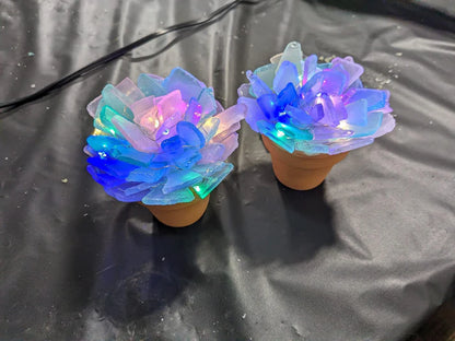 02/06/26 EVERYTHING SEA GLASS 6:30pm