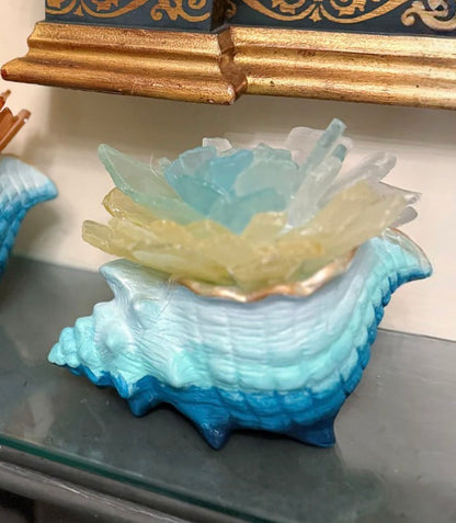 07/09/26 THURSDAY-Conch Shell & Sea Glass Succulents 6:30pm