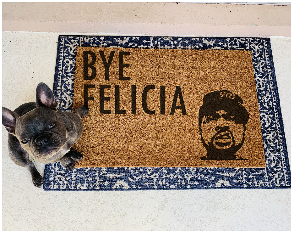 EVERYDAY DOORMAT (18" x 30")