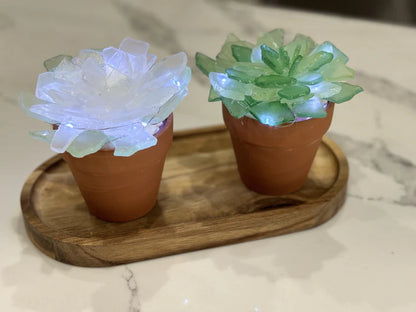 02/06/26 EVERYTHING SEA GLASS 6:30pm