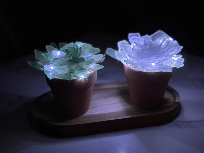 02/06/26 EVERYTHING SEA GLASS 6:30pm