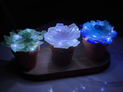 05/23/25 SEA GLASS FLOWERS, SUCCULENTS, & SHROOMS 6:30 PM