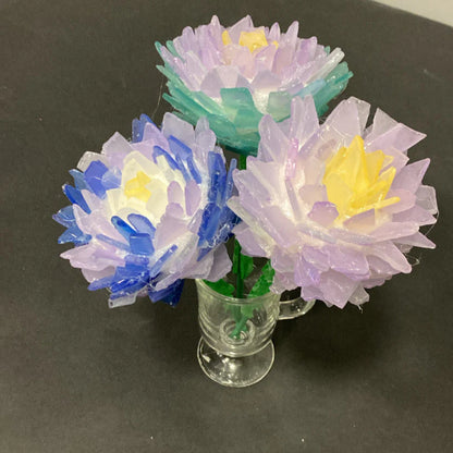 05/23/25 SEA GLASS FLOWERS, SUCCULENTS, & SHROOMS 6:30 PM