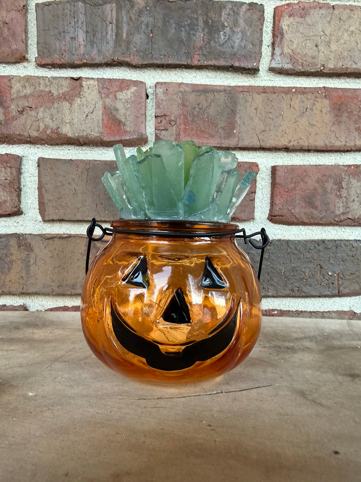 10/17/26-SATURDAY-Sea Glass Succulent Pumpkins 10:00am [LIMITED SPOTS]