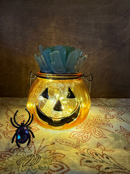 10/17/26-SATURDAY-Sea Glass Succulent Pumpkins 10:00am [LIMITED SPOTS]